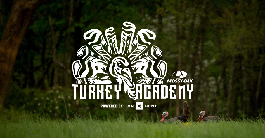 Turkey Academy logo overlaying a turkey in a field.